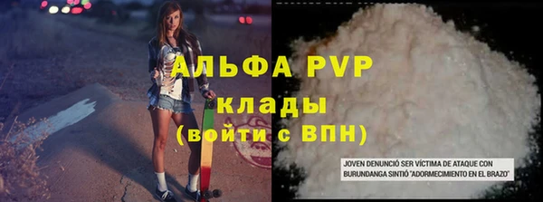 гидра Горняк