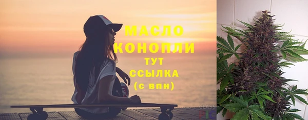 гидра Горняк