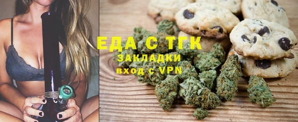 гидра Горняк