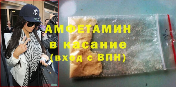 гидра Горняк