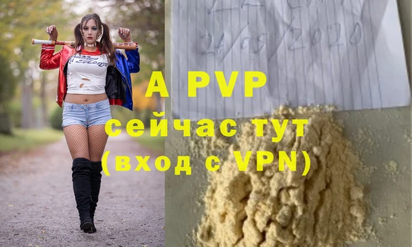 гидра Горняк