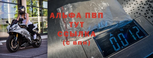 гидра Горняк