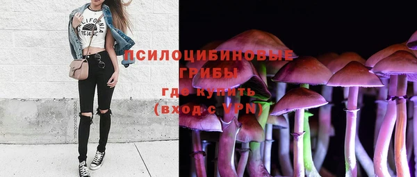 гидра Горняк
